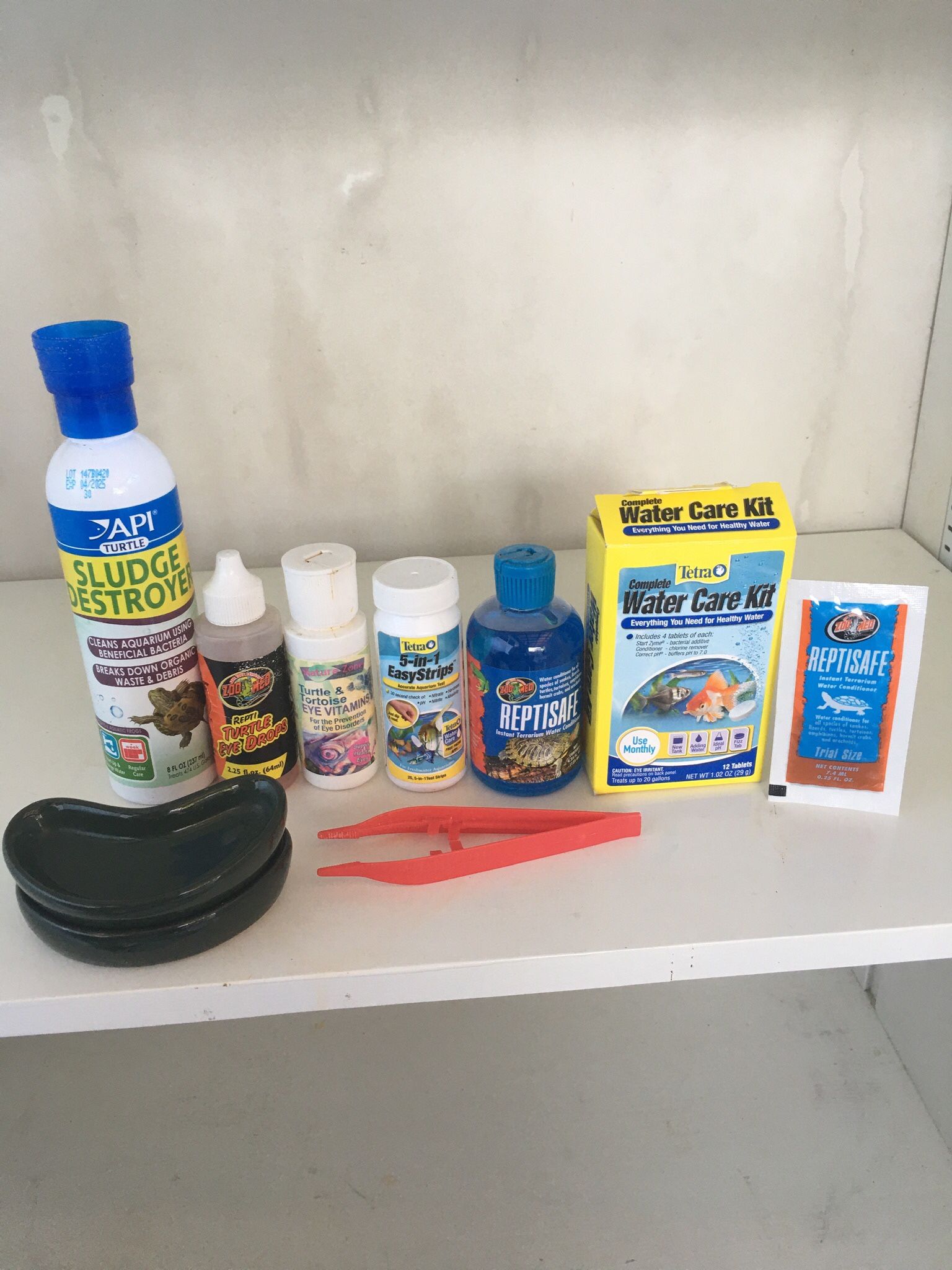 Turtle Food, Water Supplies & Feeders