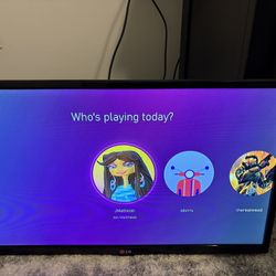 LG 28” Monitor 