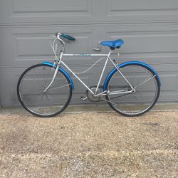 Single speed cruiser bicycle bike