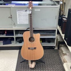 Peavy Acoustic Guitar Dw2-CE 