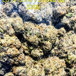 I need Ld Tv 65 to 75in under $300