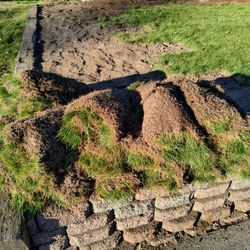 Free Sod.