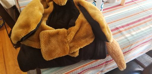 Dog costume