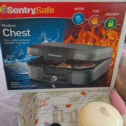 Sentry safe
