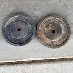 25 Lb Weights For Weight Bench