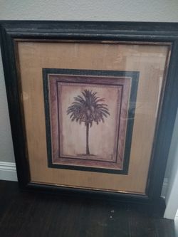 Very nice framed Palm photo