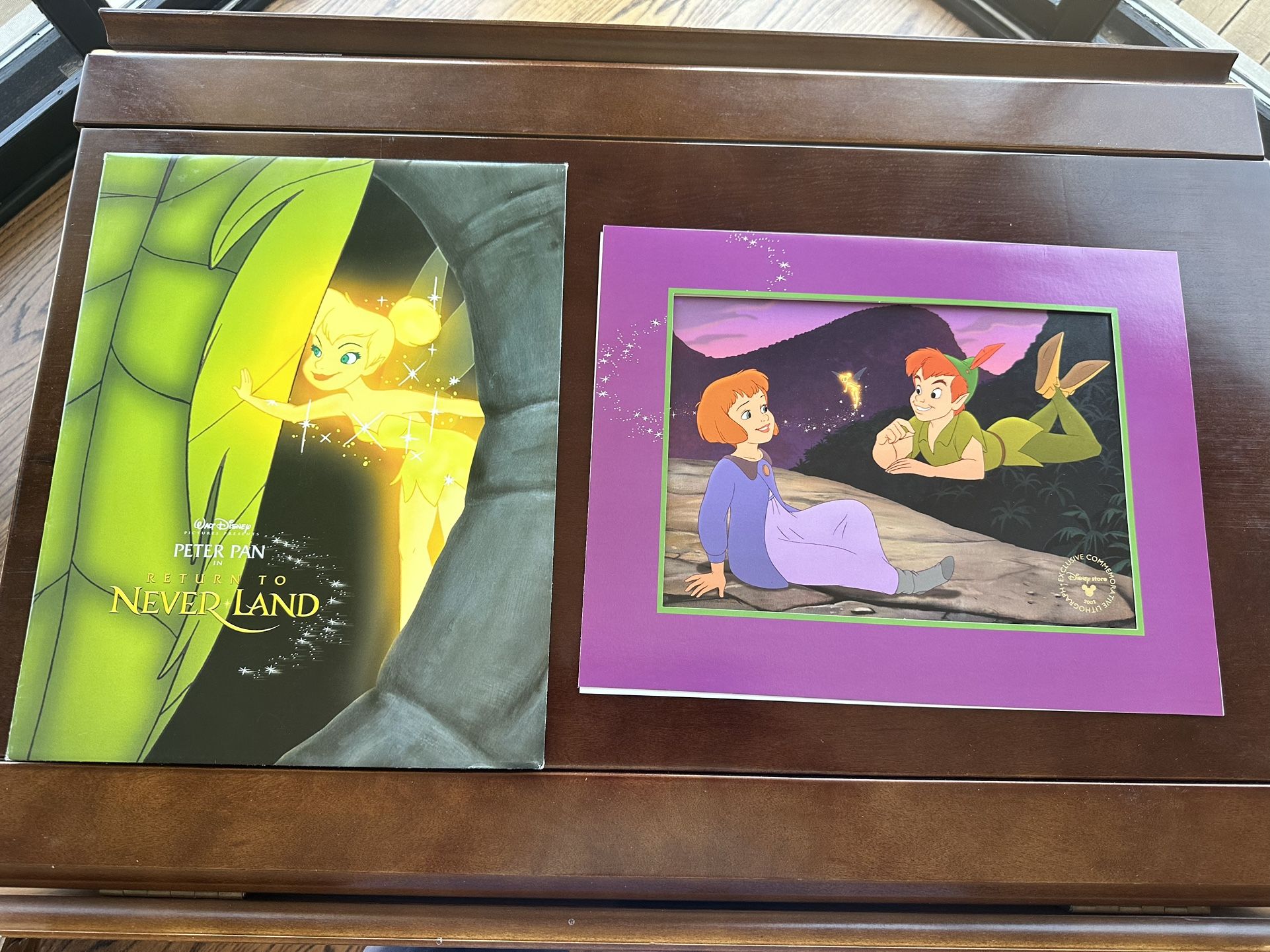 DISNEY PETER PAN RETURN TO NEVER LAND EXCLUSIVE LITHOGRAPH PICTURE 11 X 14 