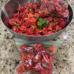 Aji Cachucha , Sweet Pepeer
