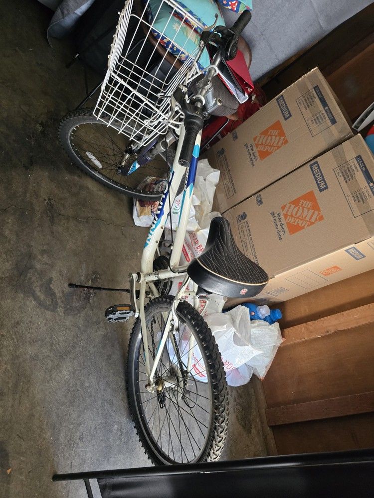 Bicycle 24"