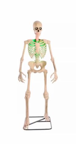6.5ft Animated LED App Controlled Skelly