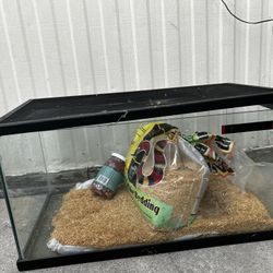 Reptile Tank/fish Tank 