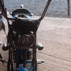 2002 Harley Sportster