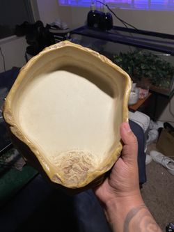 Reptile Water Dish