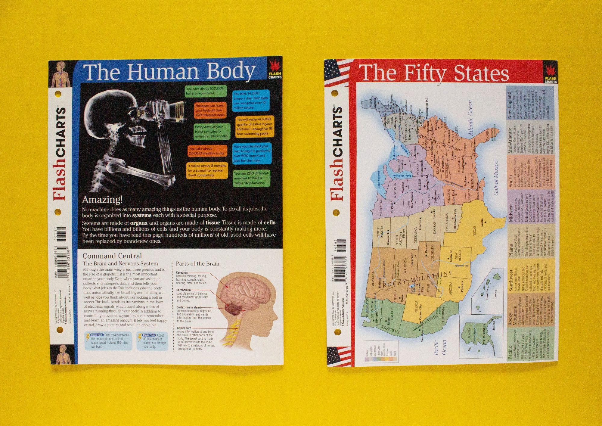 Flashcharts Study Aides for Children "Human Body" & "U.S. States" - set of 2