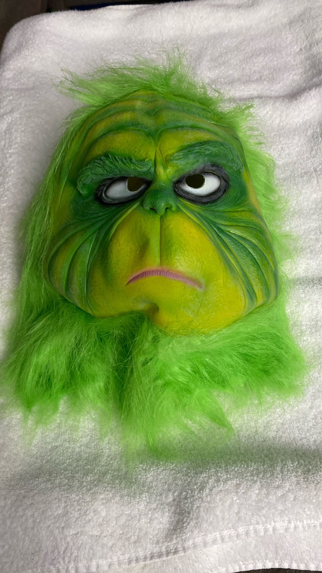 Grinch Adult Mask (3 Left)