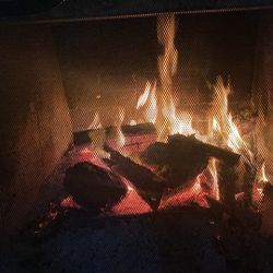 Premium Dry Hardwood, Firewood