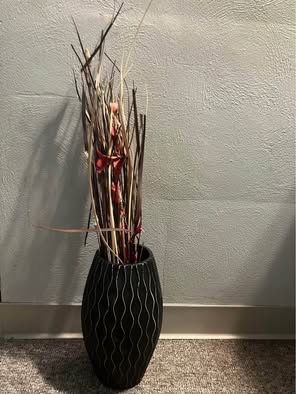 Decorative Plant
