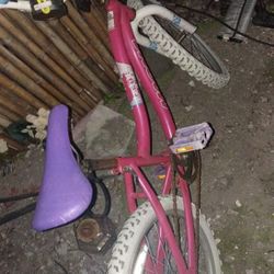 Kids Bike 20 Inch Girls Bike
