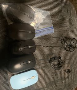 Mouse
