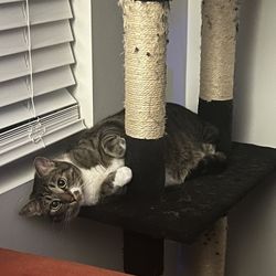 Hand Painted Cornucopia & Candy Jar 