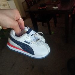 Toddler Pumas