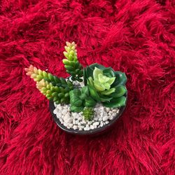 Fake Succulent Plant