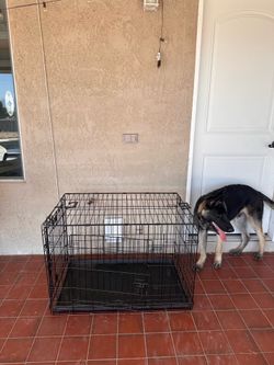 Large dog kennel