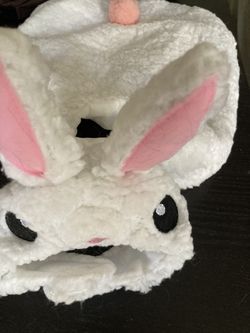 Bunny costume dog or Cat