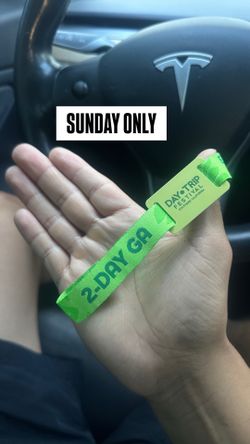 Day Trip ticket