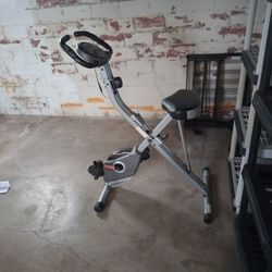 Exerpeutic Bike 