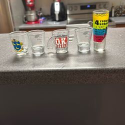 5 Shot Glasses 