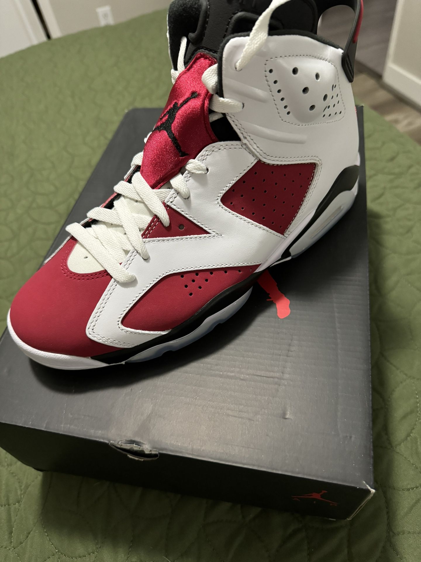 Air Jordan 6 Carmines 