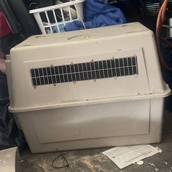 Large Kennel