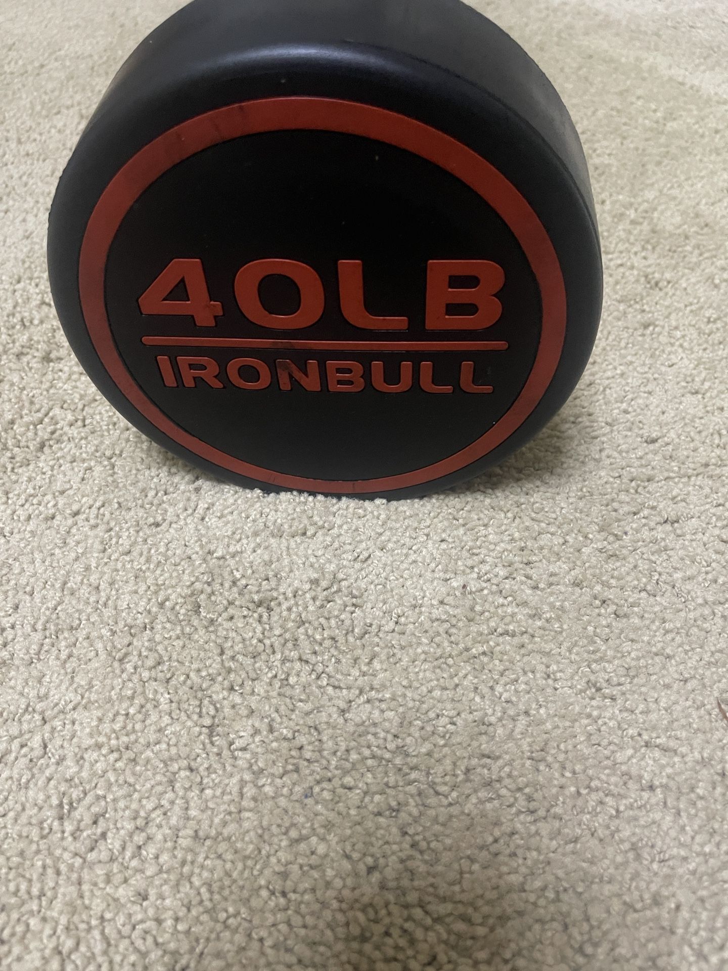 40lbs Straight And 50lbs EZ-curl Barbell