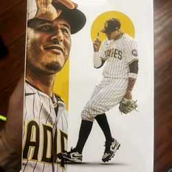Padres Bobble head