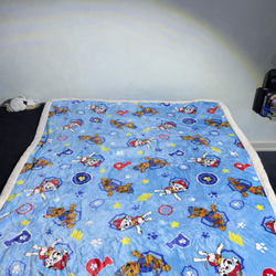 Paw patrol blanket