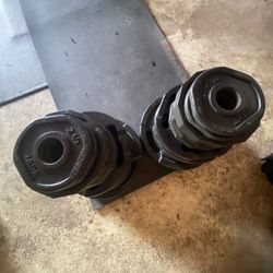 Olympic Weights/rubber Coated