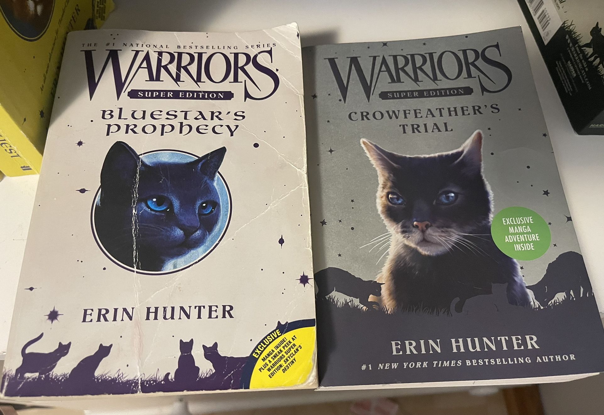 Warriors Super Edition: Bluestar's Prophecy