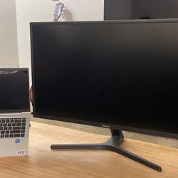 32” Samsung 4K UHD Monitor