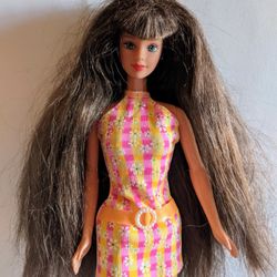 Teresa Barbie Doll