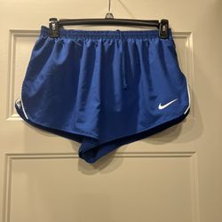 Nike Dri-fit Womens Shorts Size Large 