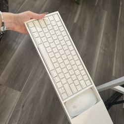 Apple Wireless Mouse and Keyboard