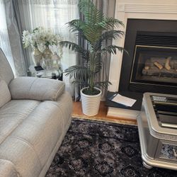 Plant For Living room 