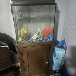 Like New Tank With Stand All Included 