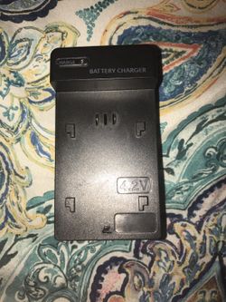 Video/digital camera travel charger