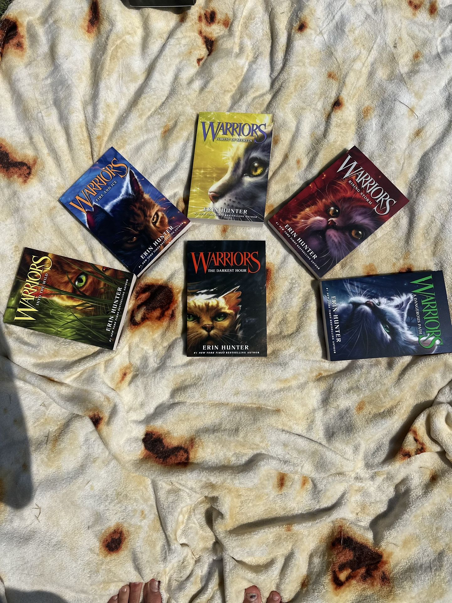 Warriors series by Erin Hunter 