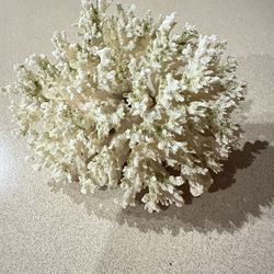 Aquarium Decorations $10 