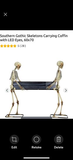 Skeletons Carrying Coffin