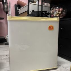 Igloo Mini Fridge