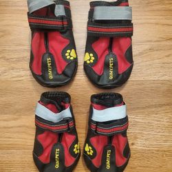 Qumy Dog Boots Size 8
